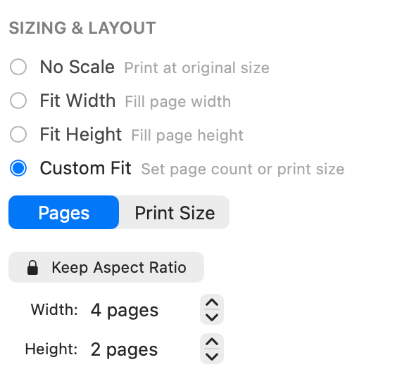 Custom Fit Pages selected with width and height page-count controls