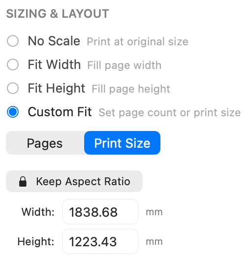 Custom Fit Print Size selected with exact width and height fields
